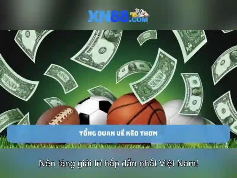Kết luận về xn88