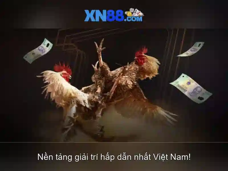 Trải nghiệm trò chơi tại xn88