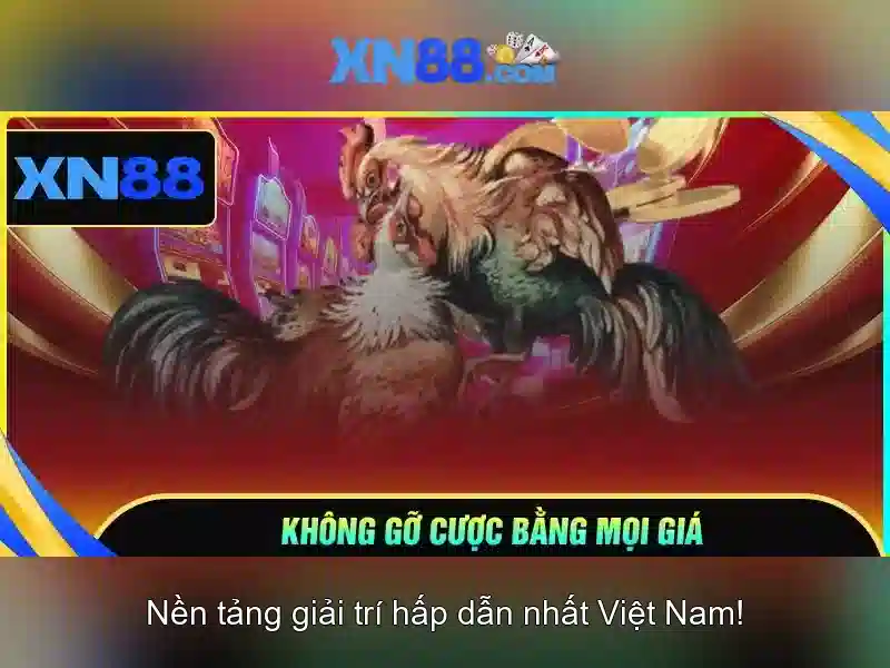xn88: Nền tảng giải trí và cá cược trực tuyến an toàn và tin cậy