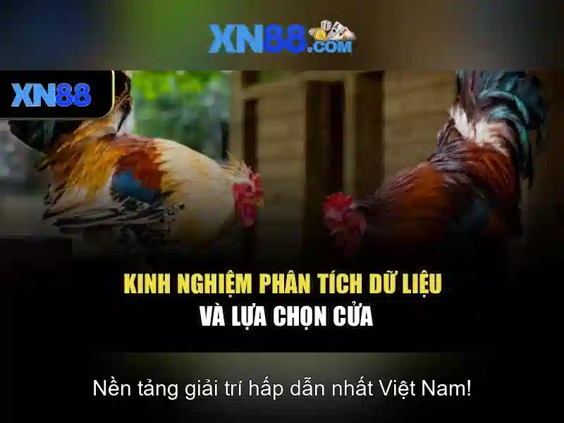 xn88 trong thị trường cá cược trực tuyến