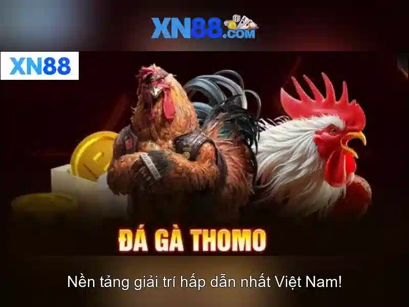 Trải nghiệm người dùng và bảo mật<h>Kết luận về xn88</h><p><span style=