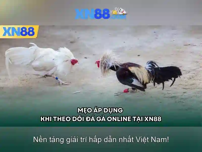 Xn88 — Nền tảng giải trí trực tuyến