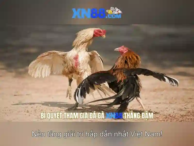 XN88 và hành trình của nền tảng số