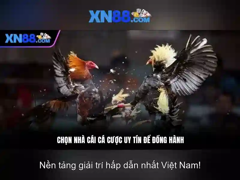 xn88 - Tổng quan về nền tảng trò chơi và cá cược trực tuyến