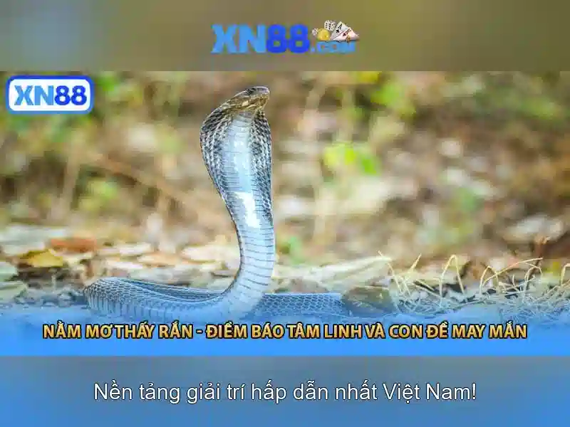 xn88 — Đánh giá và trải nghiệm nền tảng giải trí trực tuyến