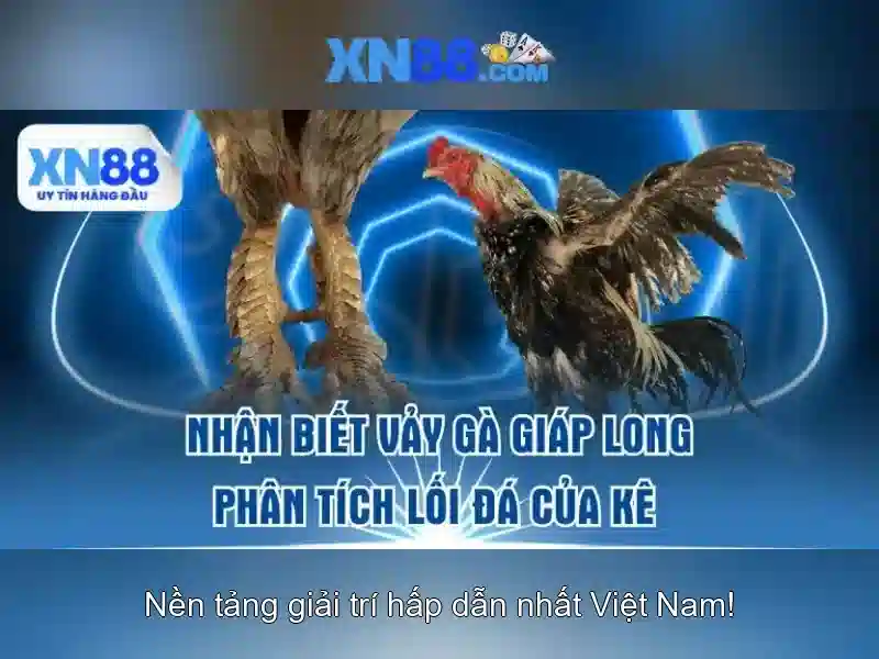 xn88 là gì và các khía cạnh nổi bật của nền tảng chơi trực tuyến