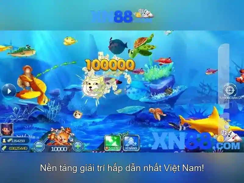 Xn88: Tổng quan về nền tảng cá cược trực tuyến