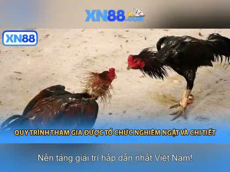 xn88: Tổng quan và những điều cần biết