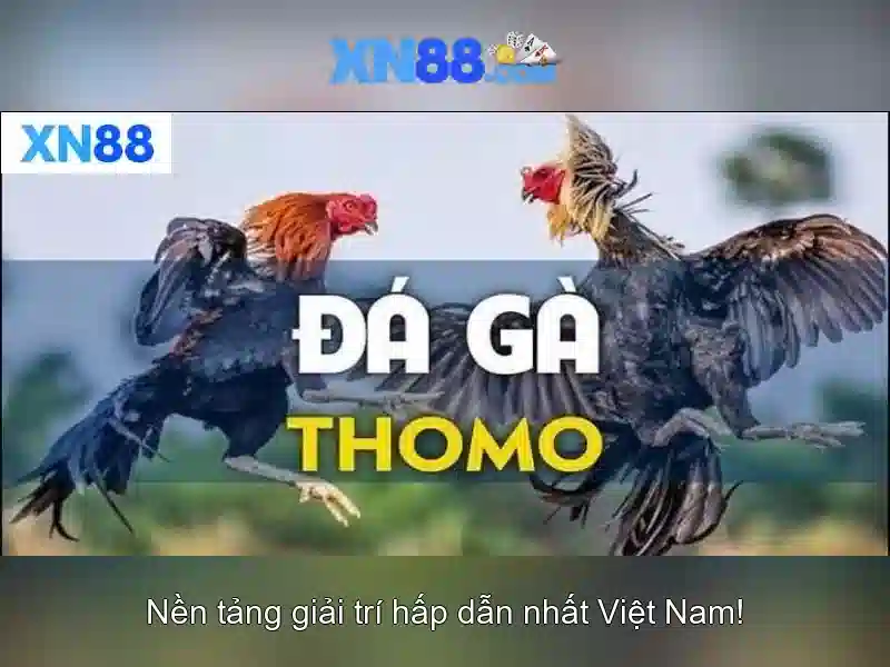 xn88: một cái nhìn tổng quan về nền tảng cá cược trực tuyến