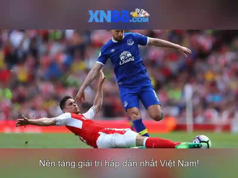 xn88: Tổng quan về nền tảng cược trực tuyến