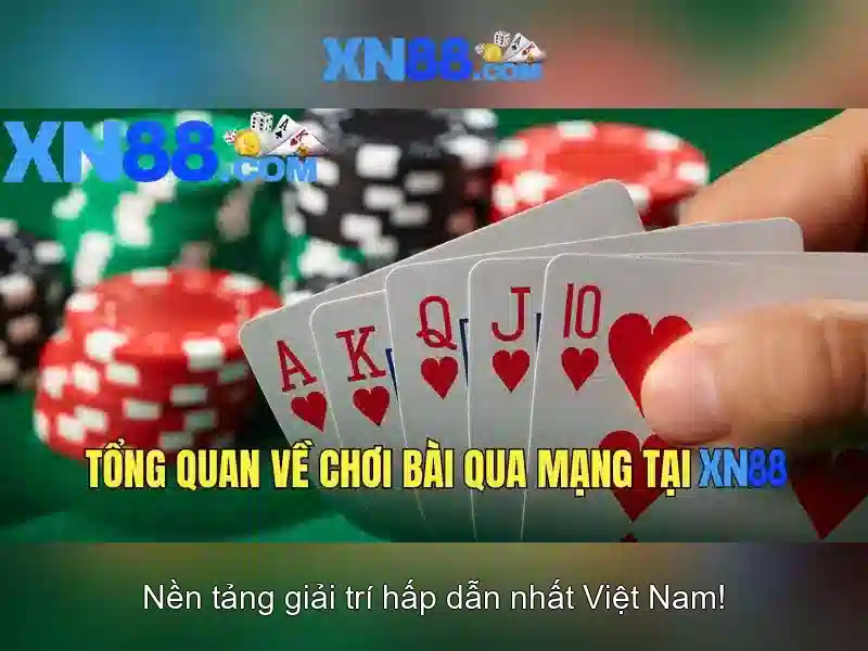 Trải nghiệm người dùng và phản hồi cộng đồng