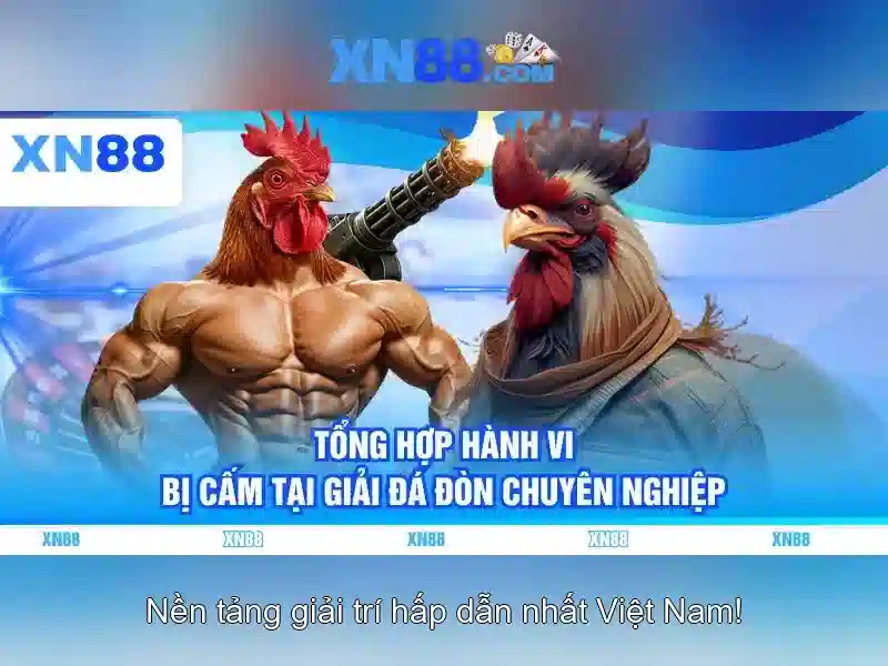 Giới thiệu xn88