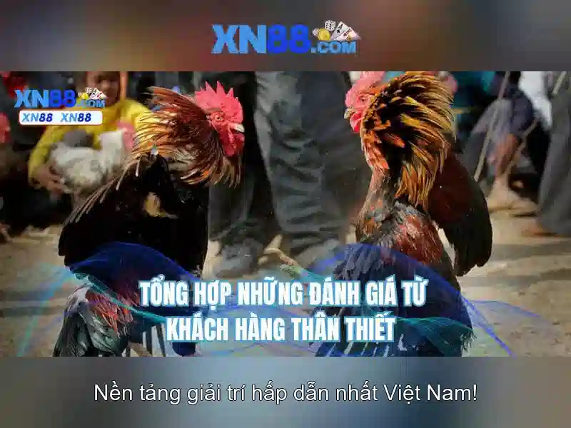 tải app xn88 – Hướng dẫn chi tiết và trải nghiệm tối ưu