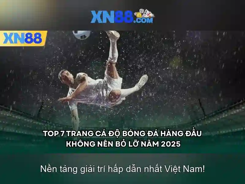 Quy định và bảo mật