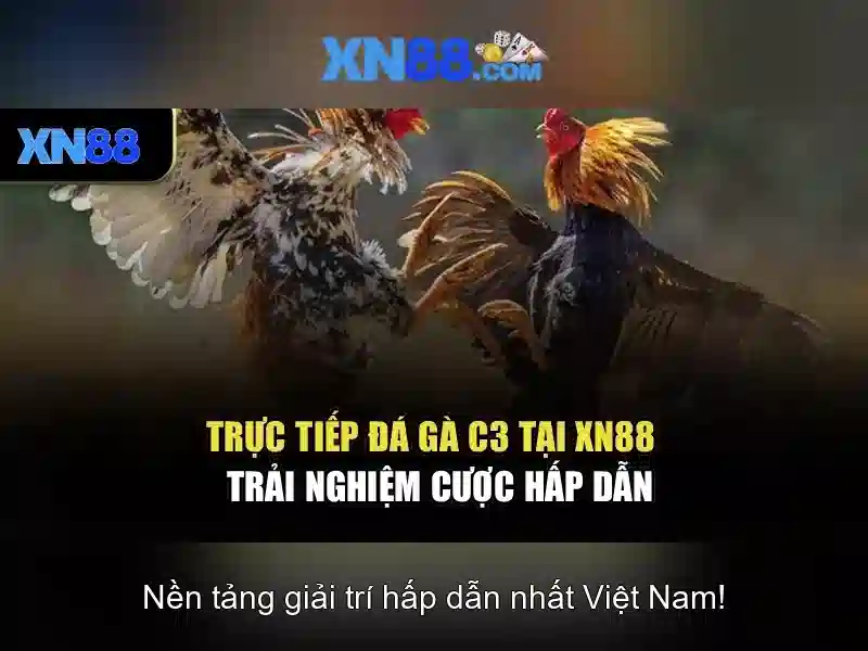 xn88 - Nền tảng trò chơi trực tuyến uy tín