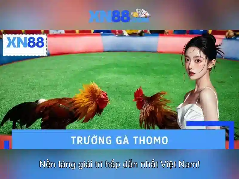 xn88: Nền tảng trò chơi trực tuyến cho người chơi Việt