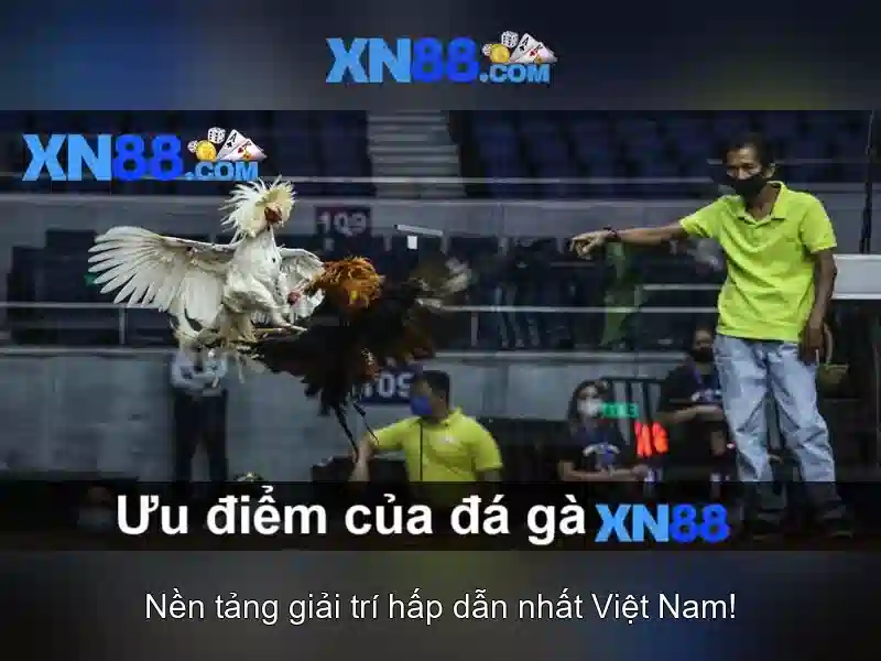 Giới thiệu về xn88: nền tảng và tiềm năng