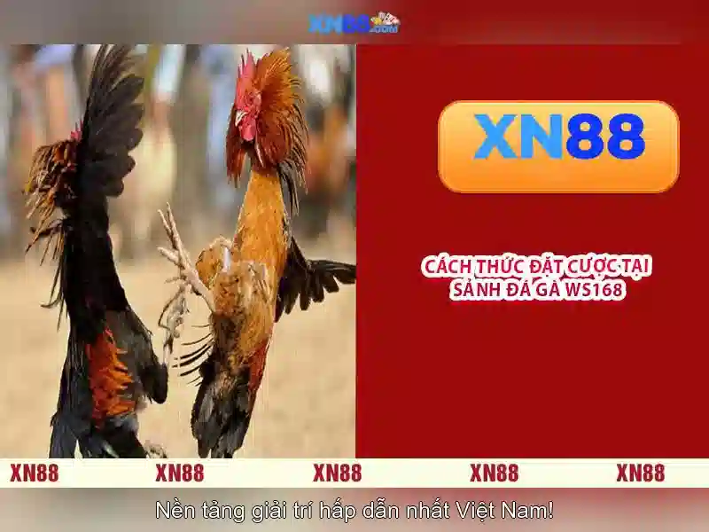 xn88: Nền tảng trò chơi trực tuyến và đánh giá tổng quan
