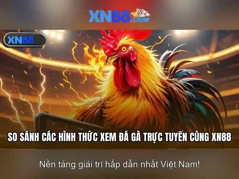 Chính sách thưởng và khuyến mãi