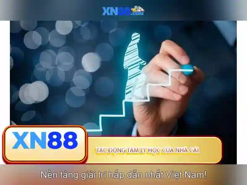 XN88 – Đánh giá và hướng dẫn an toàn