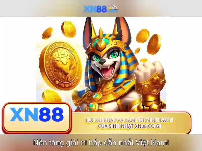 xn88: Tổng quan về nền tảng giải trí và cá cược