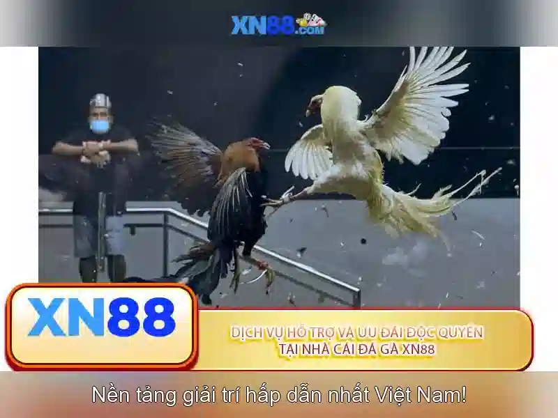 Đặc điểm nổi bật của nền tảng Xn88
