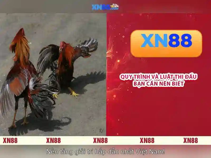 xn88 สมัคร: Hành trình kết nối trải nghiệm và phát triển thương hiệu