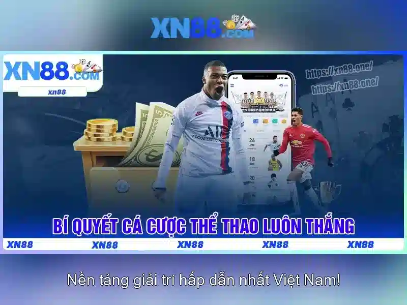 Khuyến mãi và chăm sóc khách hàng\n<h>Kết luận và lời khuyên cho người mới</h>\n<p><span style=