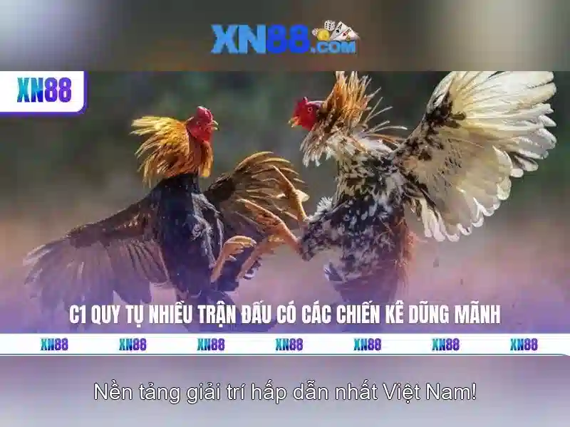 trang chủ xn88 – Tổng quan, trải nghiệm và giá trị cốt lõi