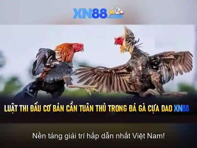 xn88: Nền tảng trực tuyến uy tín và tổng quan