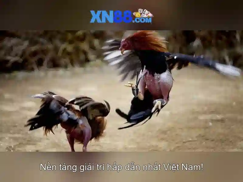 Khám phá xn88: Cổng game và casino trực tuyến