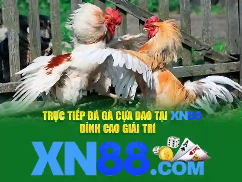 xn88-lin***.com – Trải nghiệm và Giá trị Thương hiệu